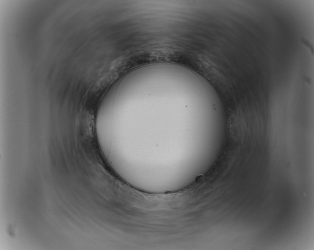 X0000103420038200809191648