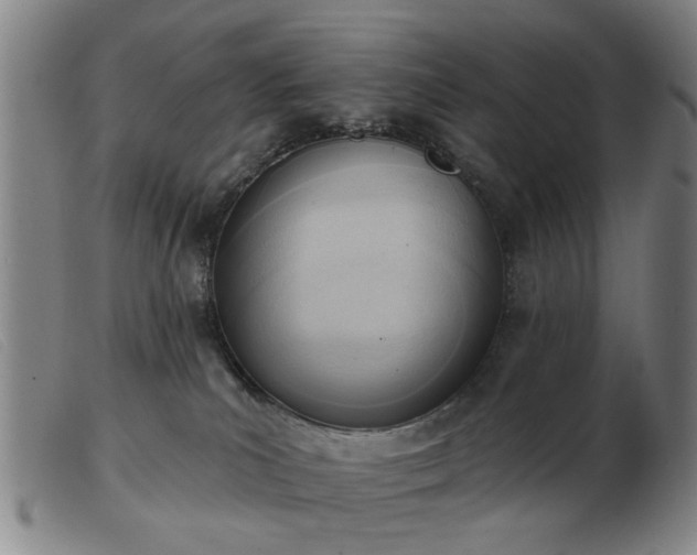 X0000103420039200809191648
