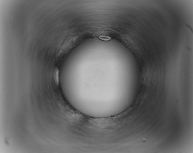 X0000103420041200809191648