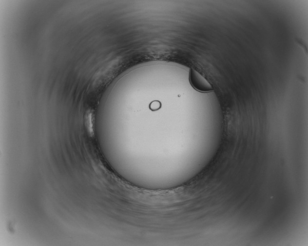 X0000103420042200809191648