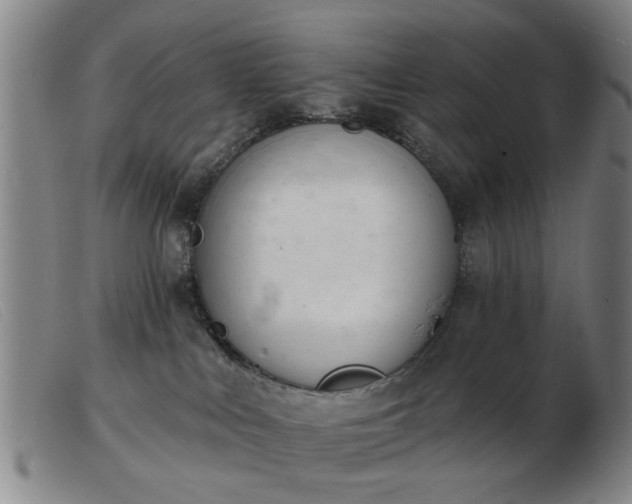 X0000103420043200809191648