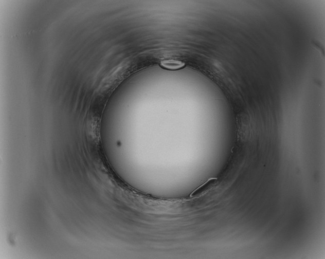 X0000103420044200809191648