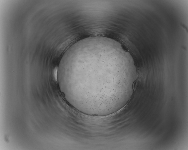 X0000103420047200809191647