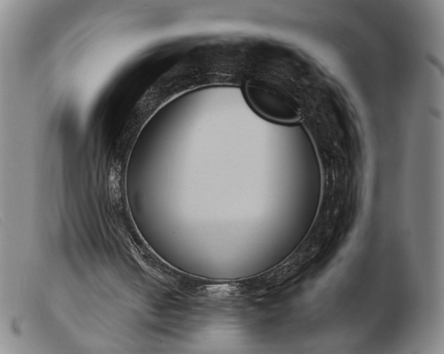 X0000103420050200809191647