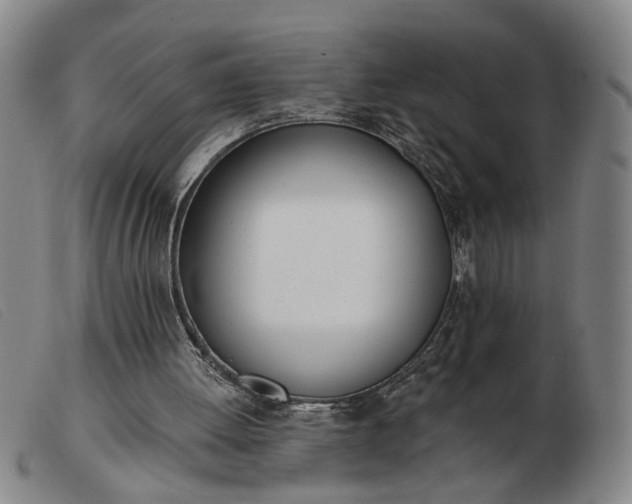 X0000103420052200809191647