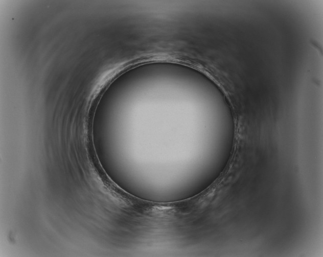 X0000103420055200809191647