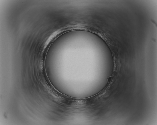 X0000103420056200809191647