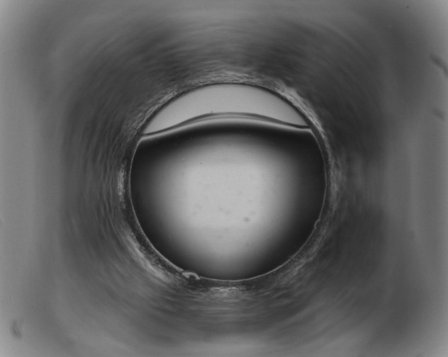 X0000103420057200809191647