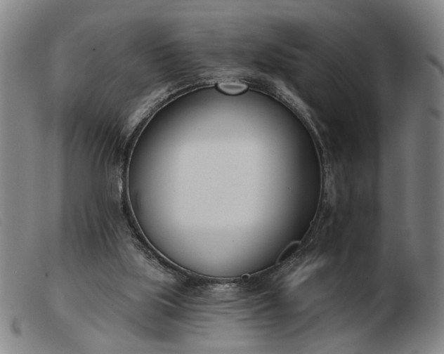 X0000103420059200809191647