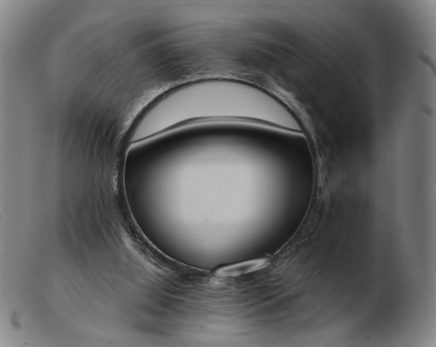 X0000103420060200809191647