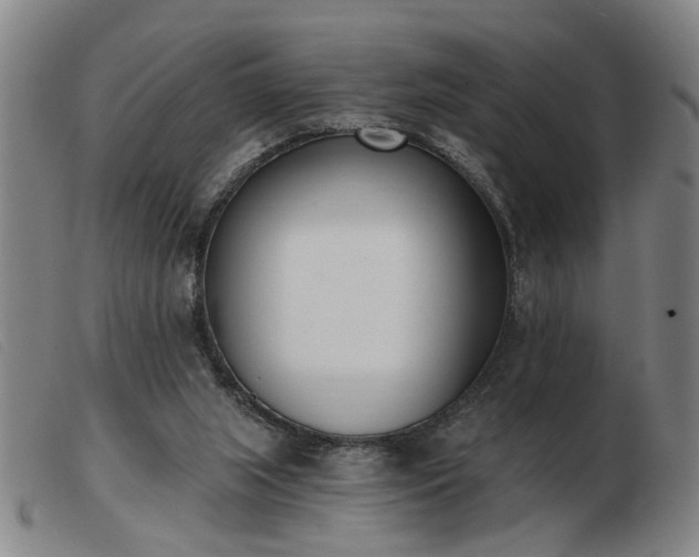 X0000103420063200809191647