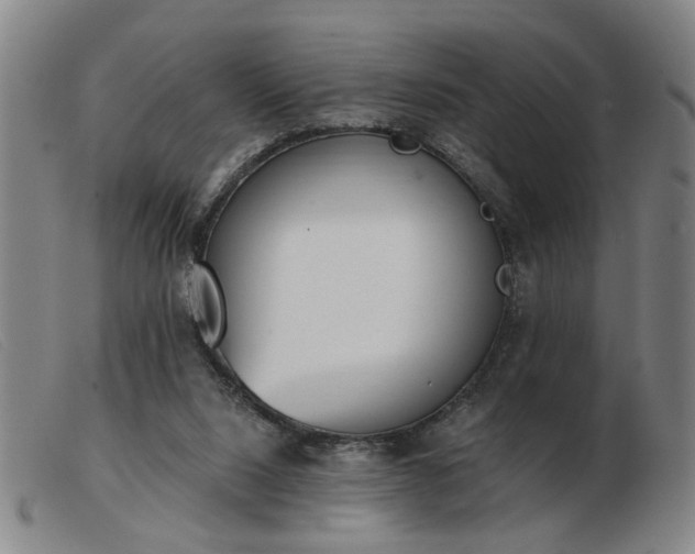 X0000103420064200809191647