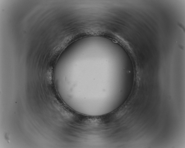 X0000103420065200809191647