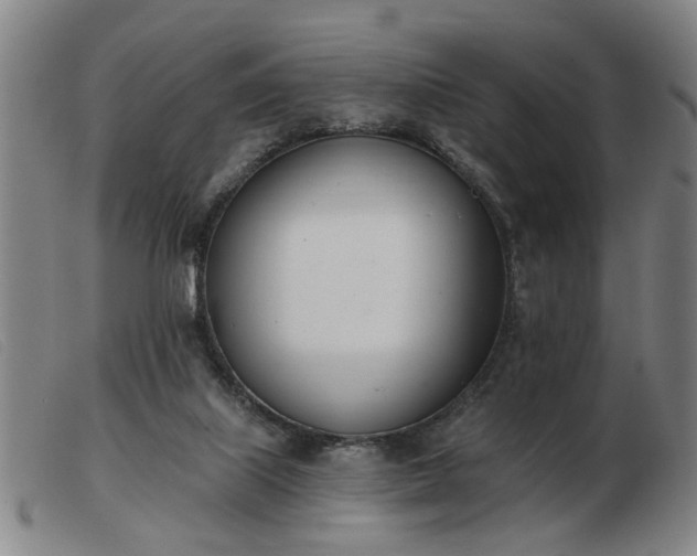 X0000103420067200809191647