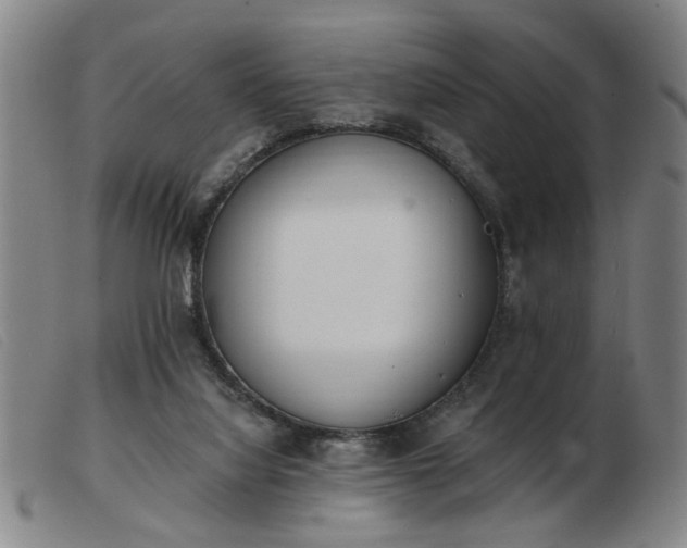 X0000103420068200809191647