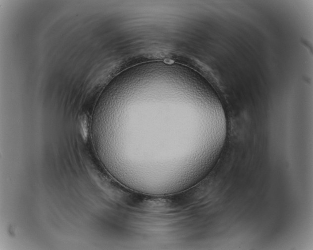 X0000103420069200809191647