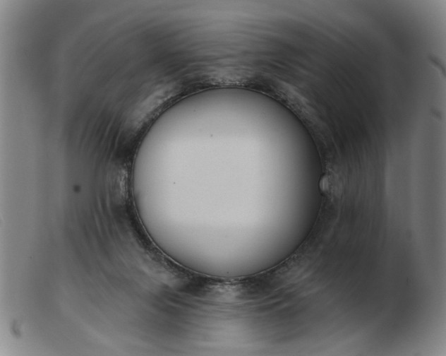 X0000103420071200809191647