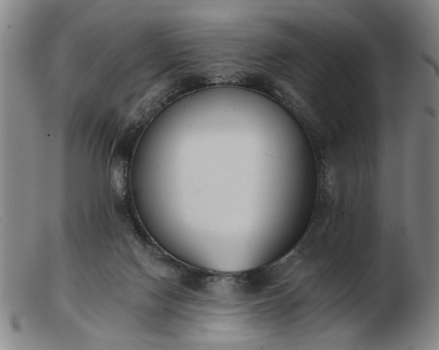X0000103420074200809191647
