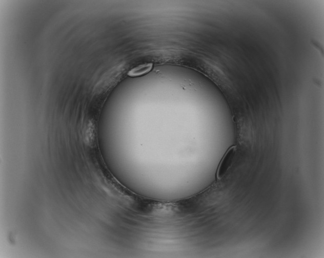 X0000103420077200809191647