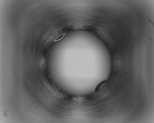 X0000103420079200809191647
