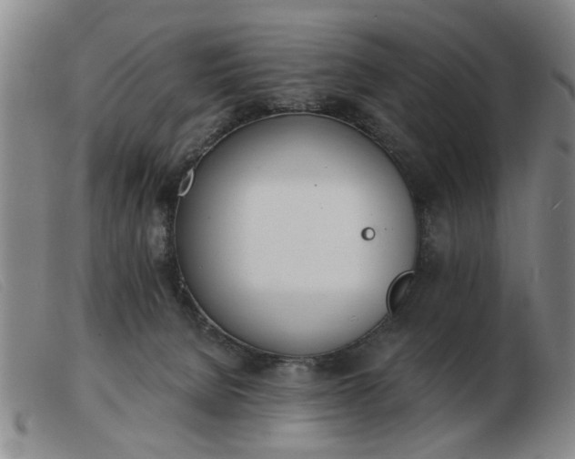 X0000103420080200809191647