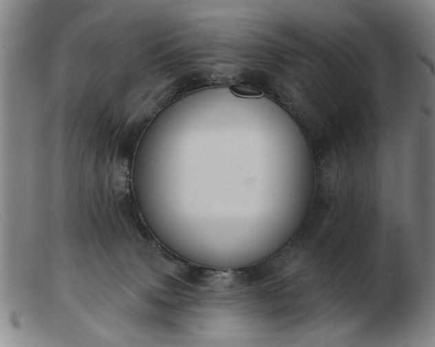 X0000103420083200809191647