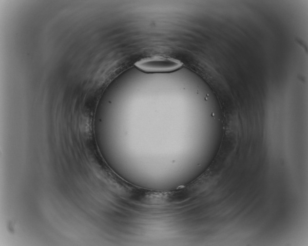 X0000103420084200809191647