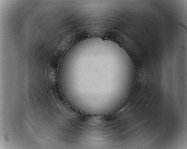 X0000103420086200809191647