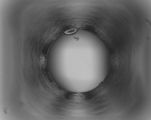 X0000103420087200809191647