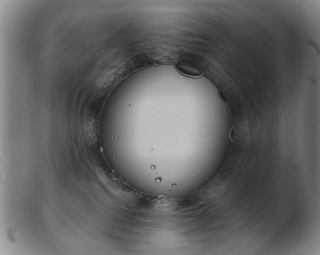 X0000103420088200809191647
