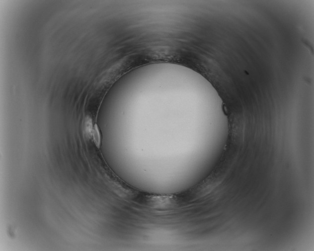 X0000103420089200809191647