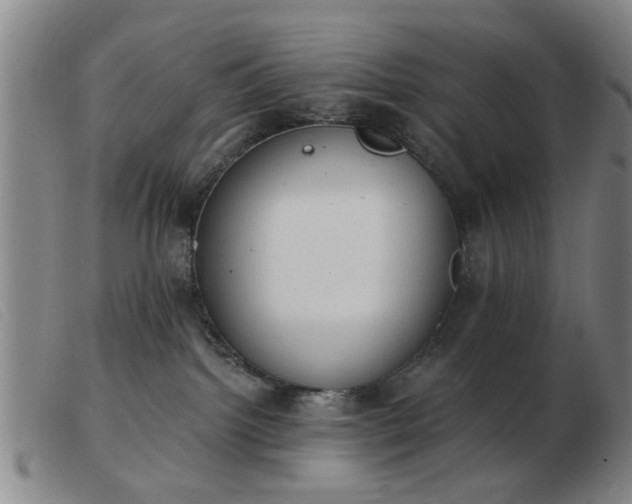 X0000103420092200809191647