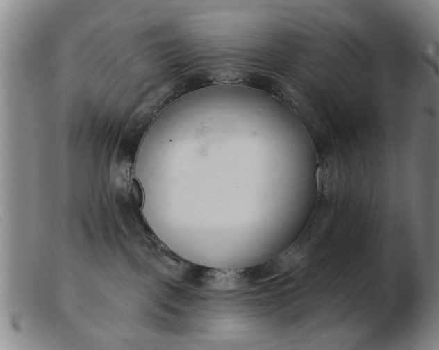 X0000103420093200809191647