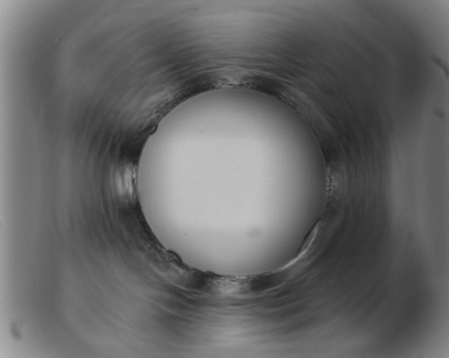 X0000103420094200809191647