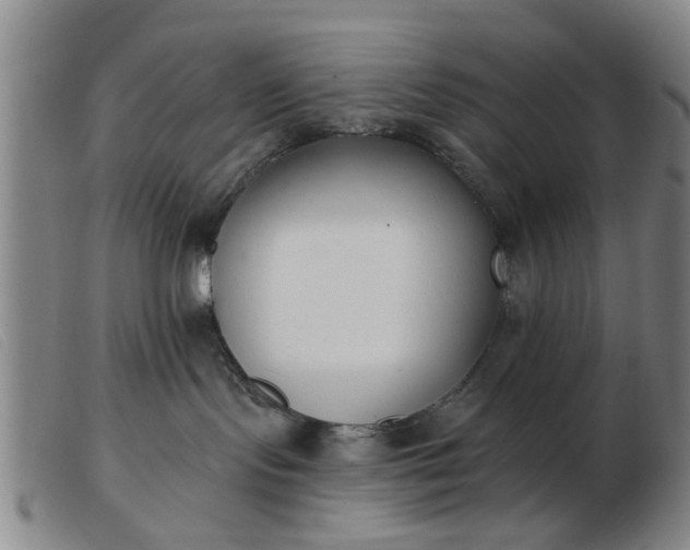 X0000103420095200809191647