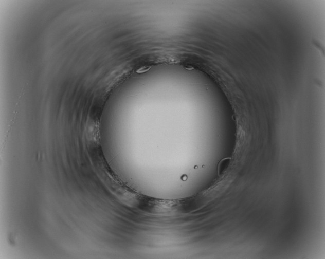 X0000103420096200809191647
