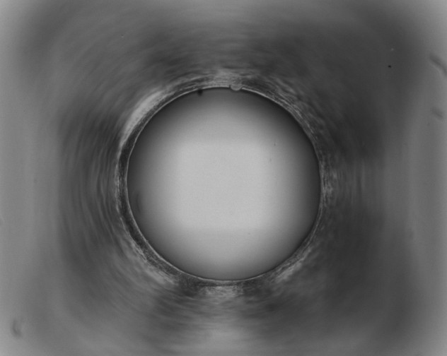 X0000103420102200809191647