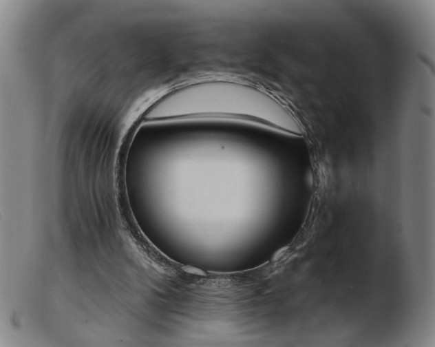 X0000103420104200809191647