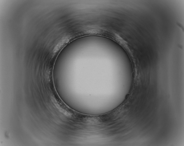 X0000103420106200809191647