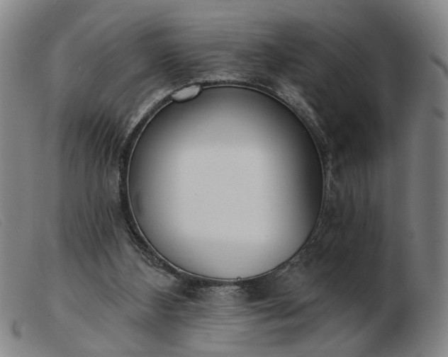 X0000103420108200809191647