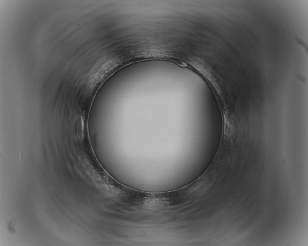 X0000103420109200809191647
