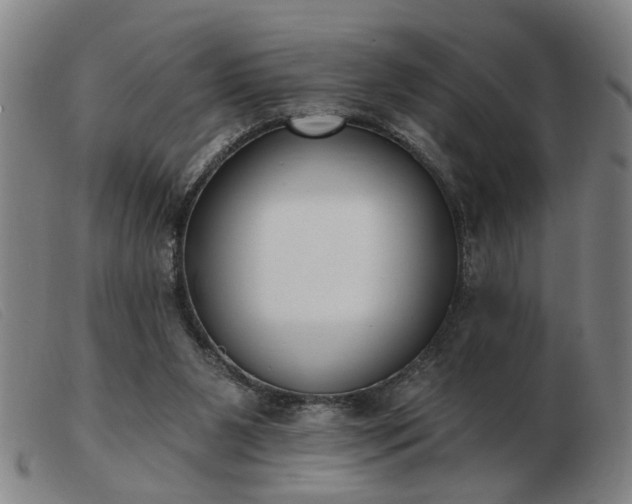 X0000103420111200809191647