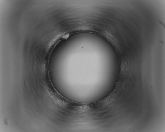 X0000103420112200809191647