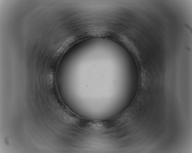 X0000103420113200809191646