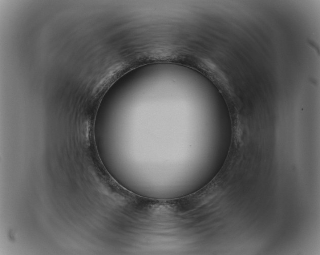X0000103420115200809191646