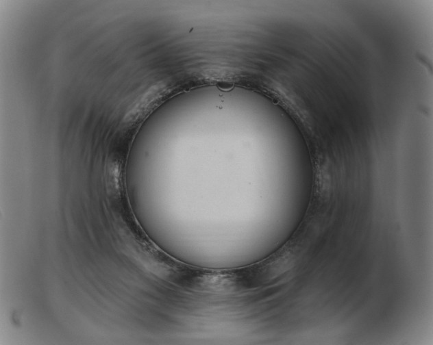 X0000103420117200809191646