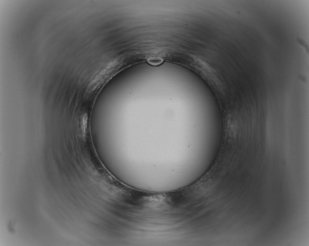 X0000103420118200809191646