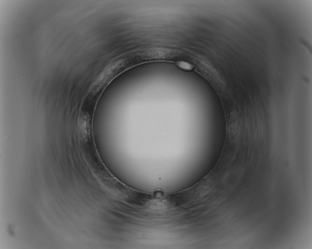 X0000103420119200809191646