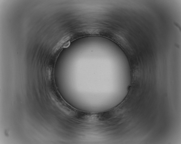 X0000103420120200809191646