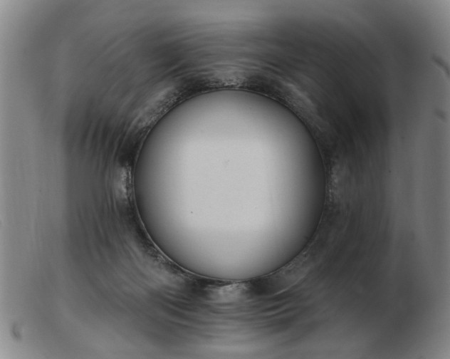 X0000103420122200809191646